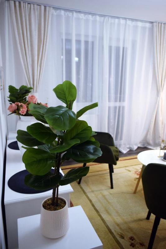 Apartament Thea Leilighet Făgăraş Eksteriør bilde